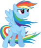 FANMADE_Rainbow_Dash_-_colors_of_the_wind_by_stabzor.png