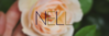 nell(twitter header).png