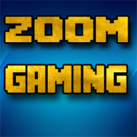 Zoom Gaming